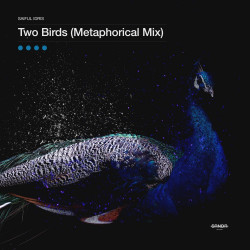 Two Birds - Metaphorical Mix